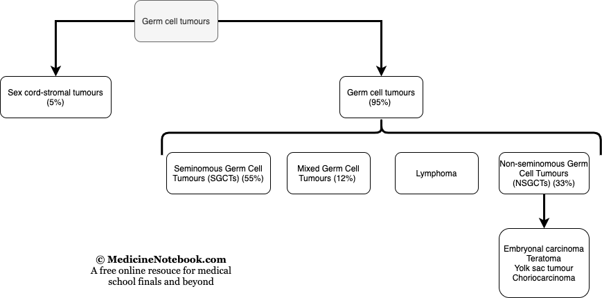 Classification of testicular tumours including germ cell tumours and sex cord-stromal tumours